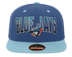 American Needle Toronto Blue Jays Vintage Fade Snapback Hat